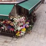 Angolo Fiorito Venedig