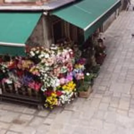Angolo Fiorito Venezia